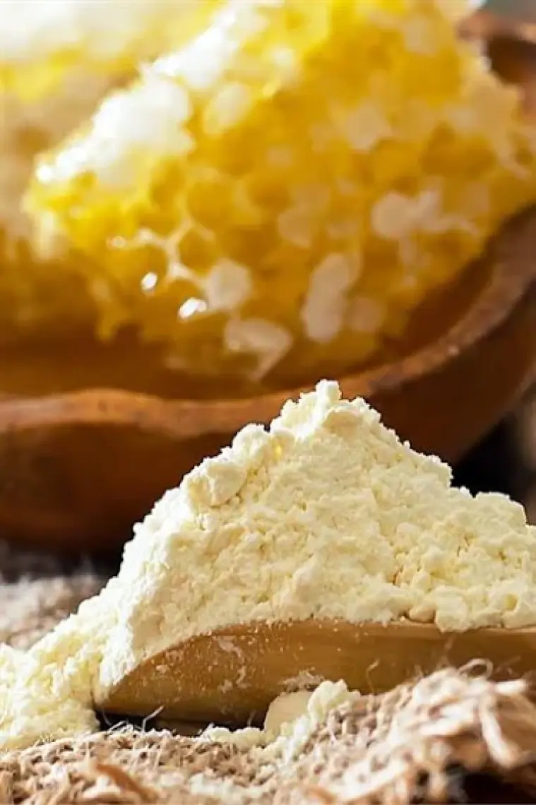 Ayhan Ercan Liyofilize Arı Sütü Tozu 50 G
