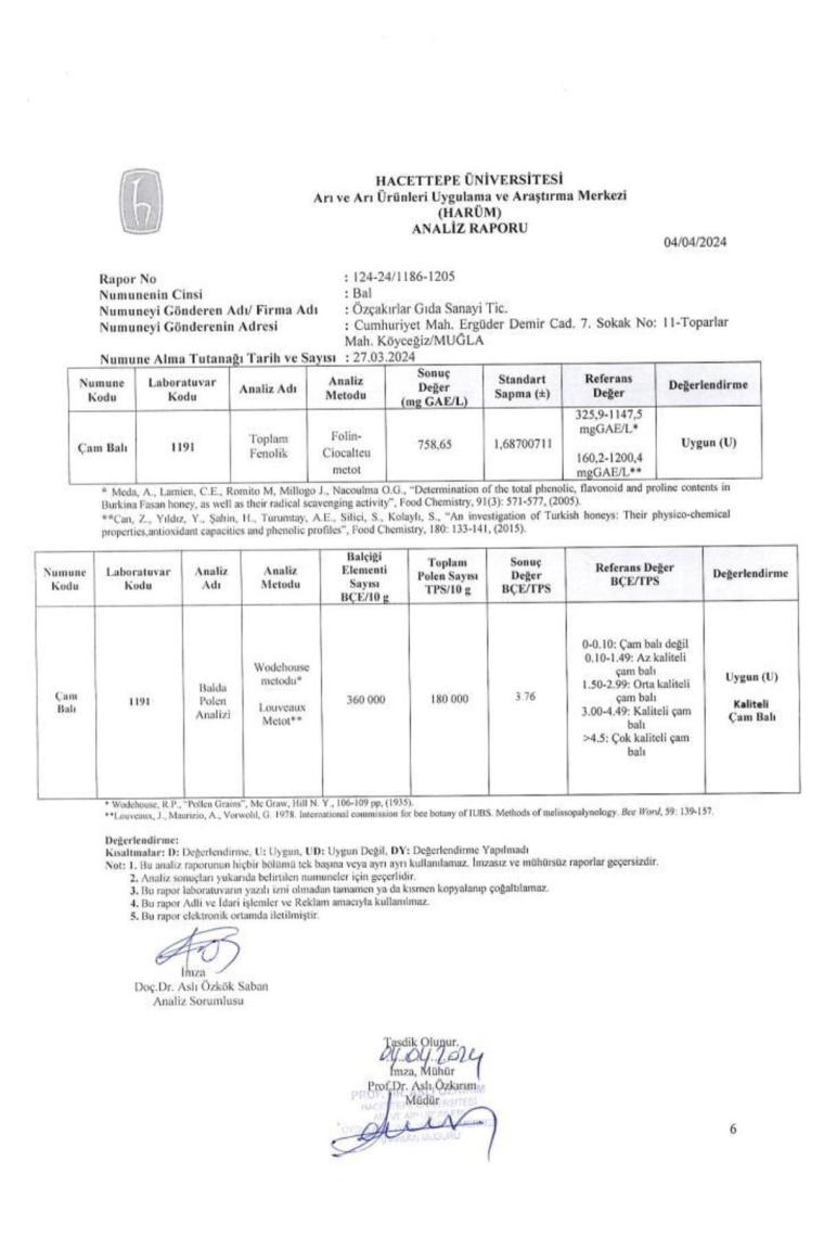 Çam Balı 2850 G Teneke