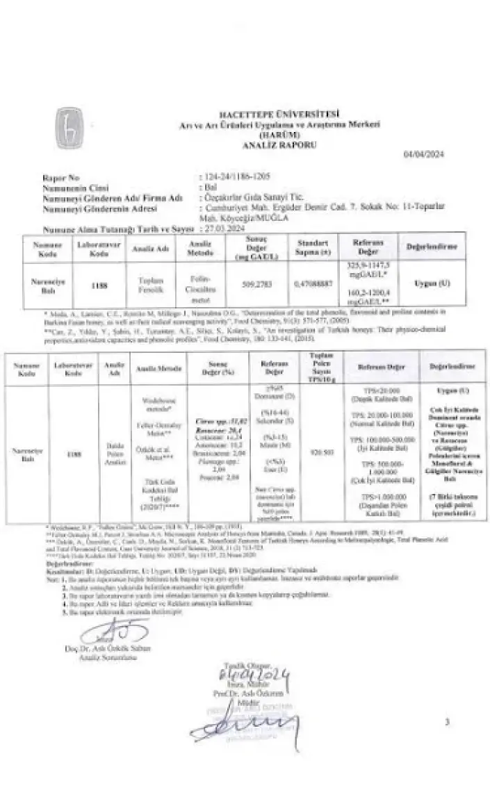 Köyceğiz Balı Narenciye Balı 660  GCam Kavanoz