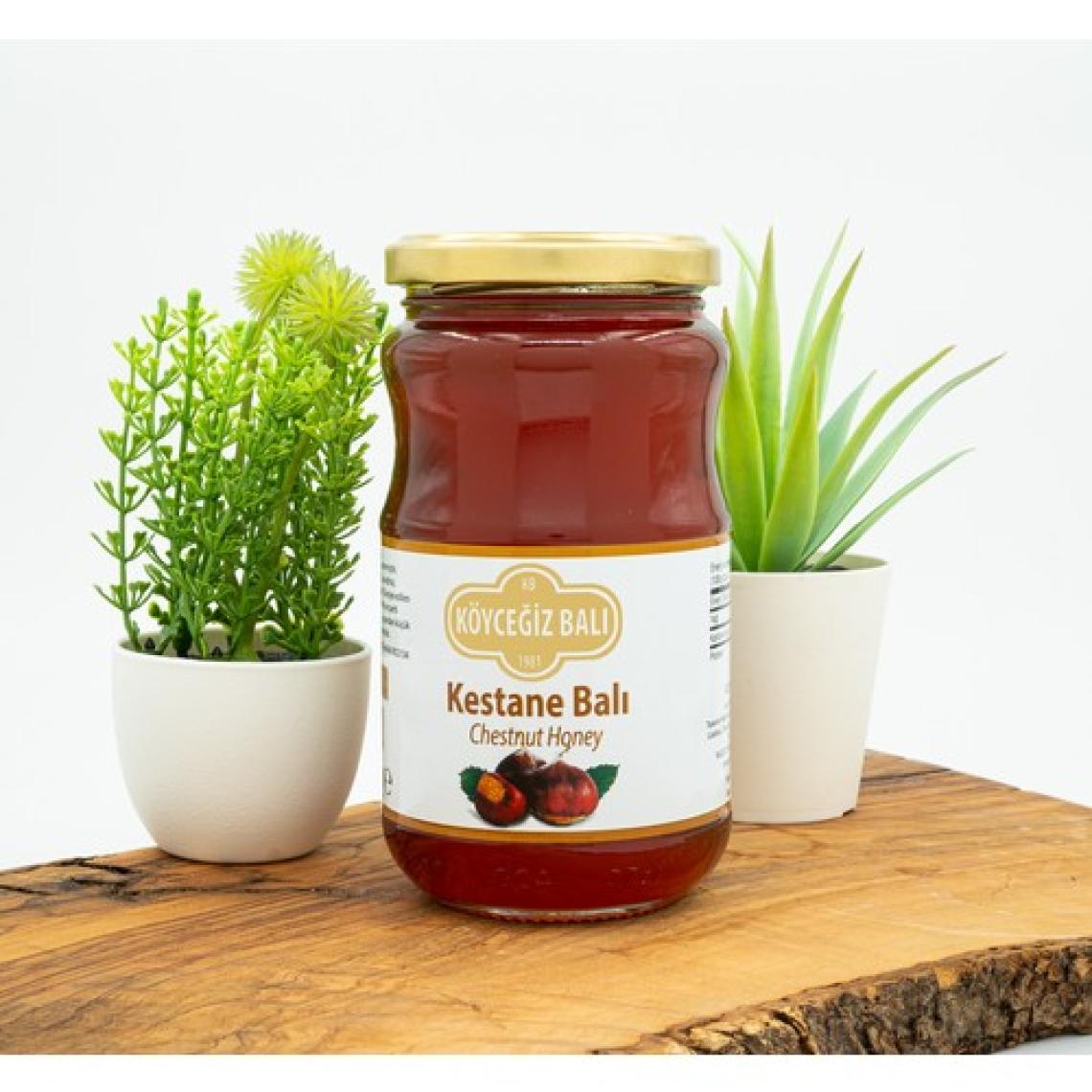 Köyceğiz 450 gr Kestane Balı