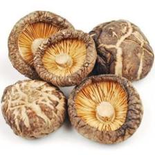 Xushi Gıda Kuru Shıtake  Mantar Drıed Shıtake Mushroom