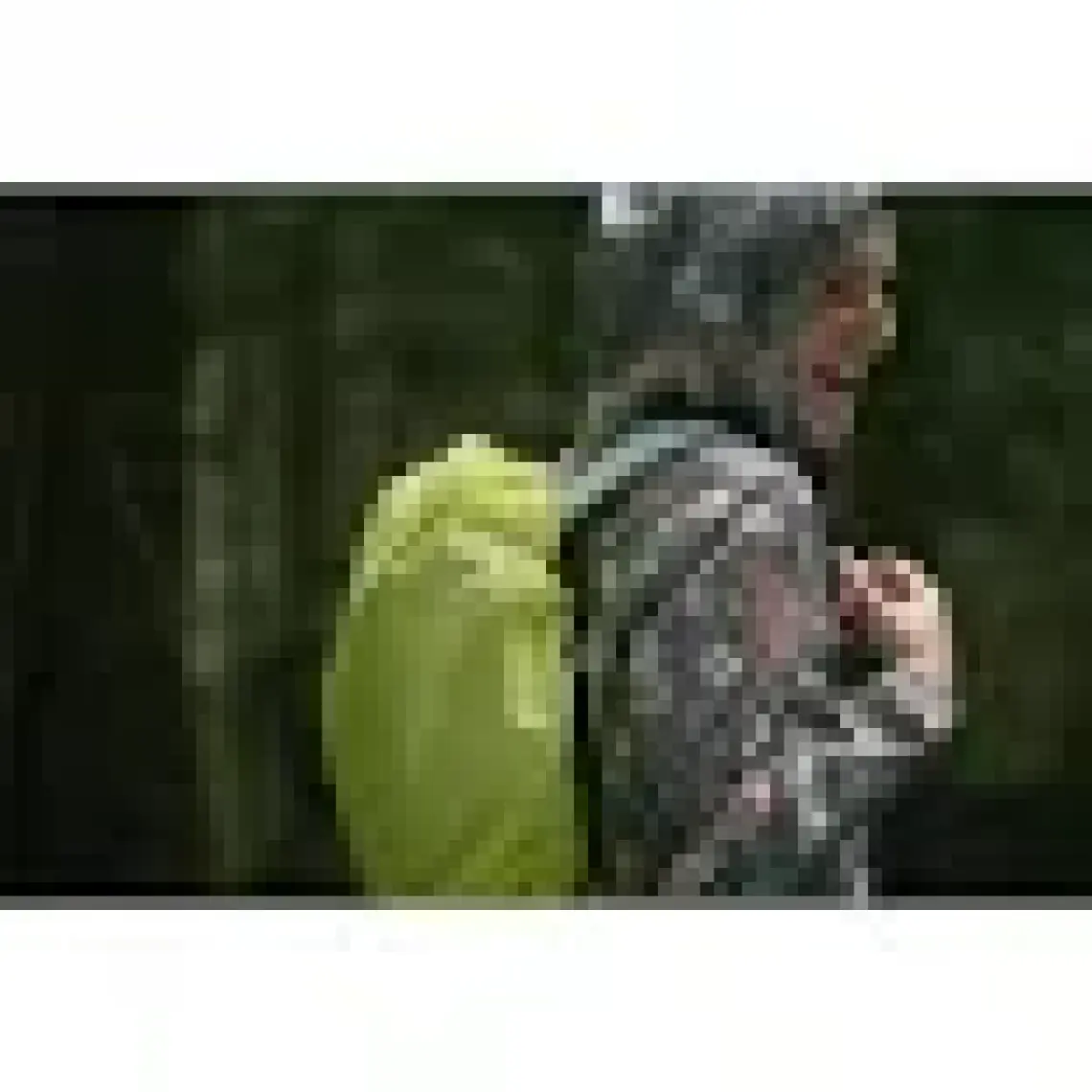 Quechua Outdoor Sırt Çantası Yağmur Kılıfı - 10/20 L - Sarı