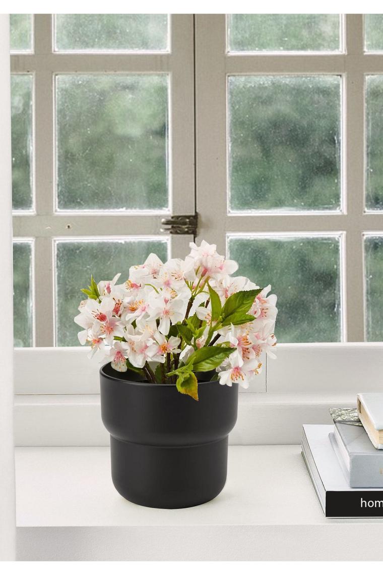 Homing Plastik Saksı Siyah 11 cm SEH-4620