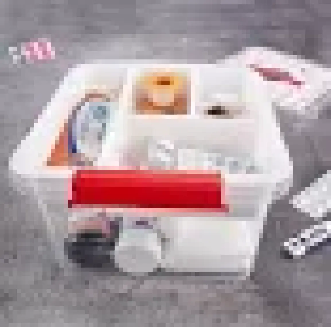 Smartware Hobi/Dikiş/Ecza Kutusu 6 LT