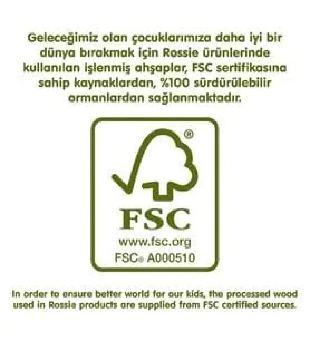 Rossie Renkli Ahşap Bloklar Zeka Oyunu