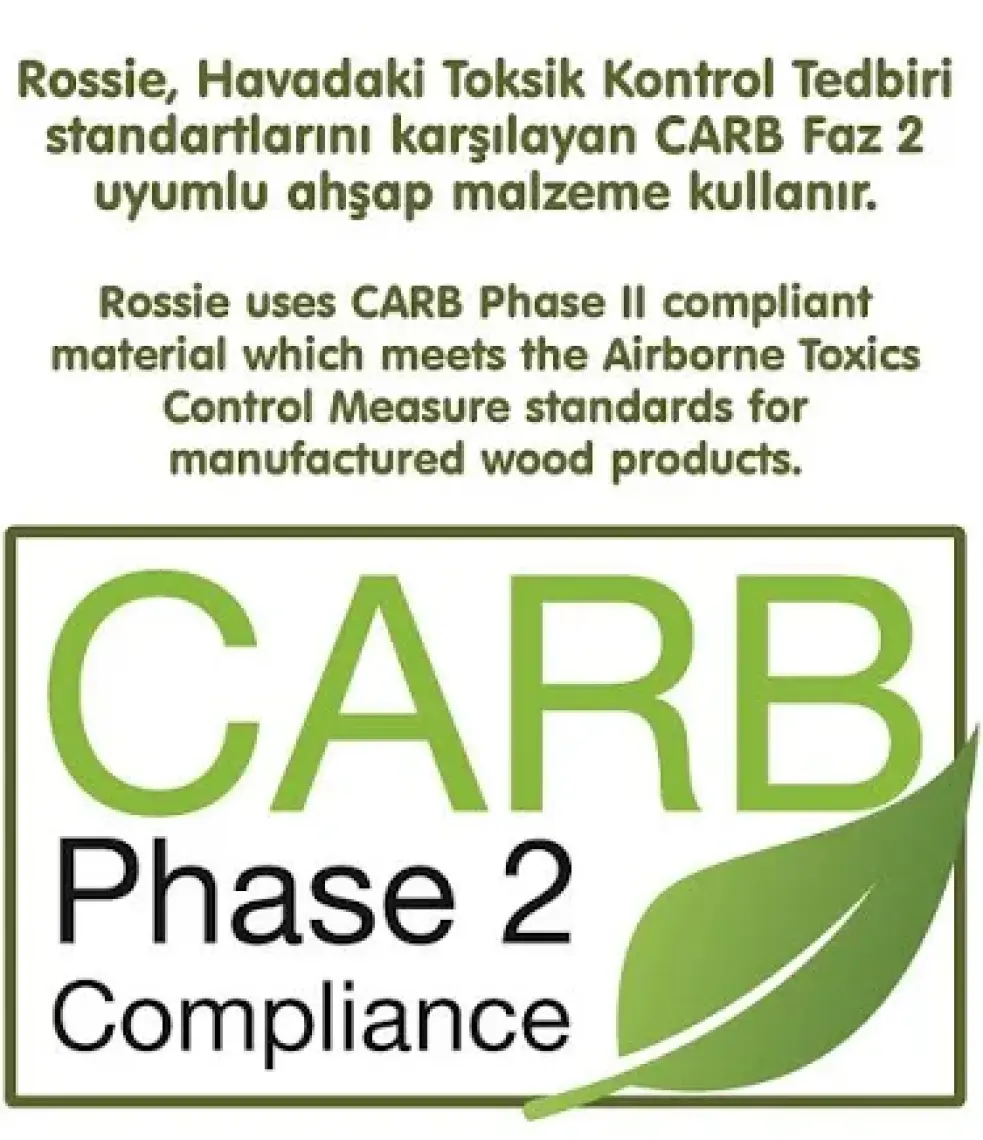 Rossie Renkli Ahşap Bloklar Zeka Oyunu