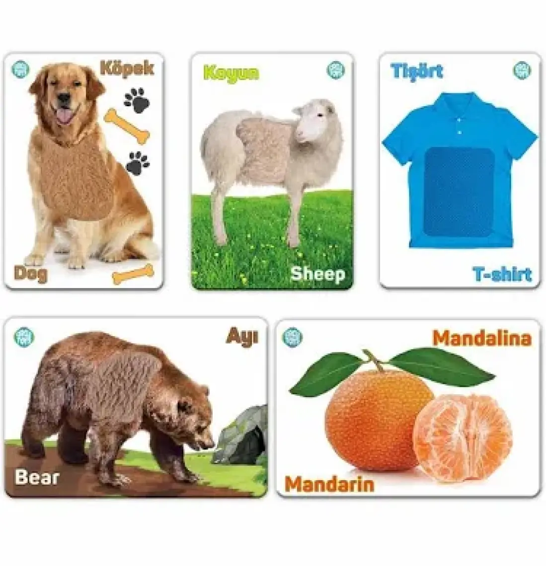 Circle Toys Myd Oyuncak Circle Toys Dokun Hisset Tanı Kartları