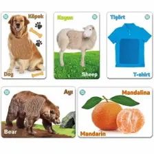 Circle Toys Myd Oyuncak Circle Toys Dokun Hisset Tanı Kartları