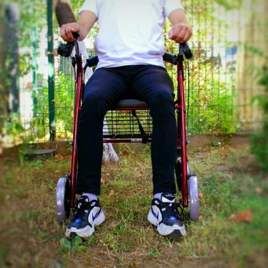 Poylin Tekerlekli, Frenli, Oturaklı, Sepetli, Hasta Yardım Yürümeç Rollator Poylin