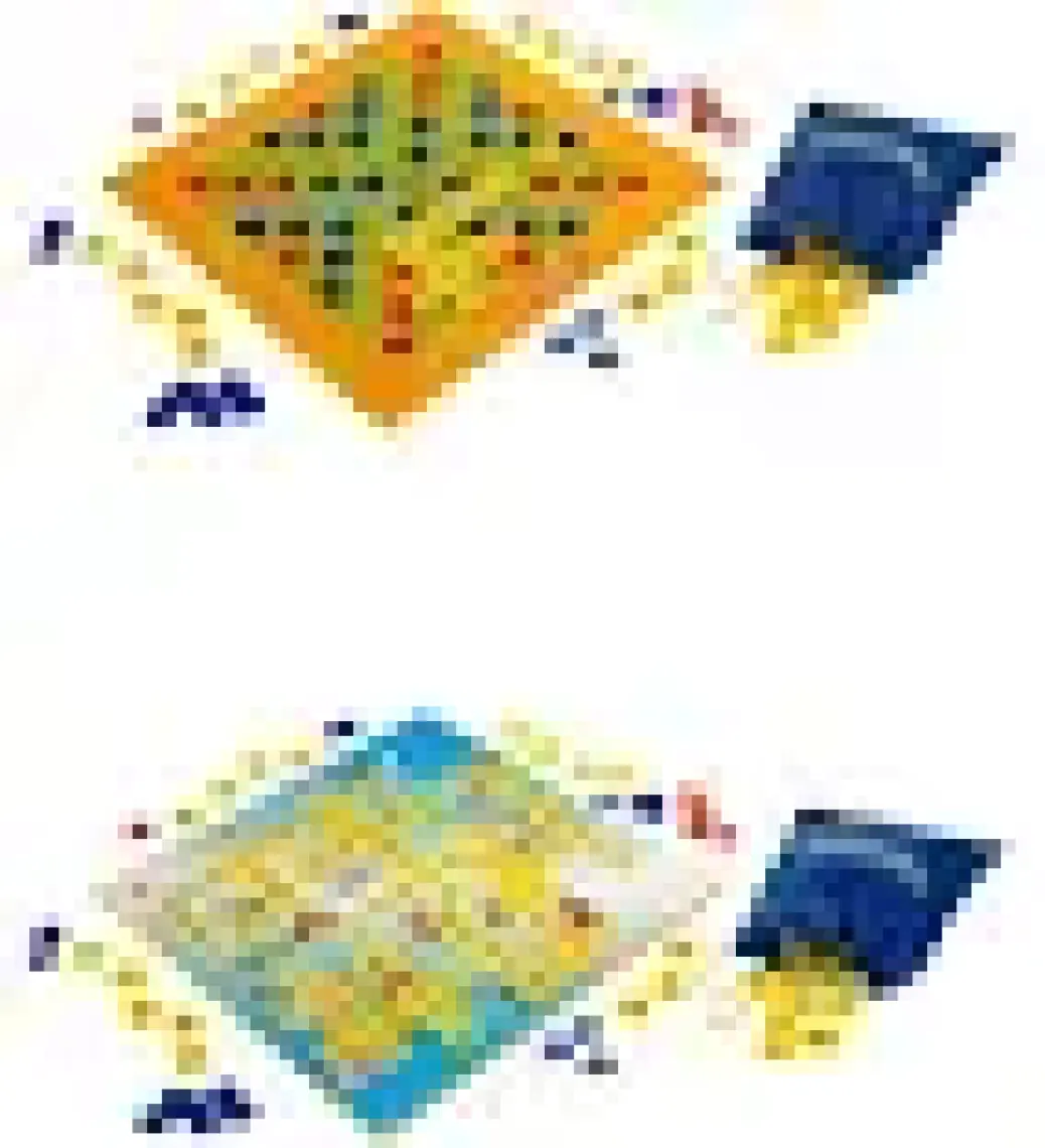 Scrabble Y9733 Scrabble Junior Türkçe / 6-10 Yaş