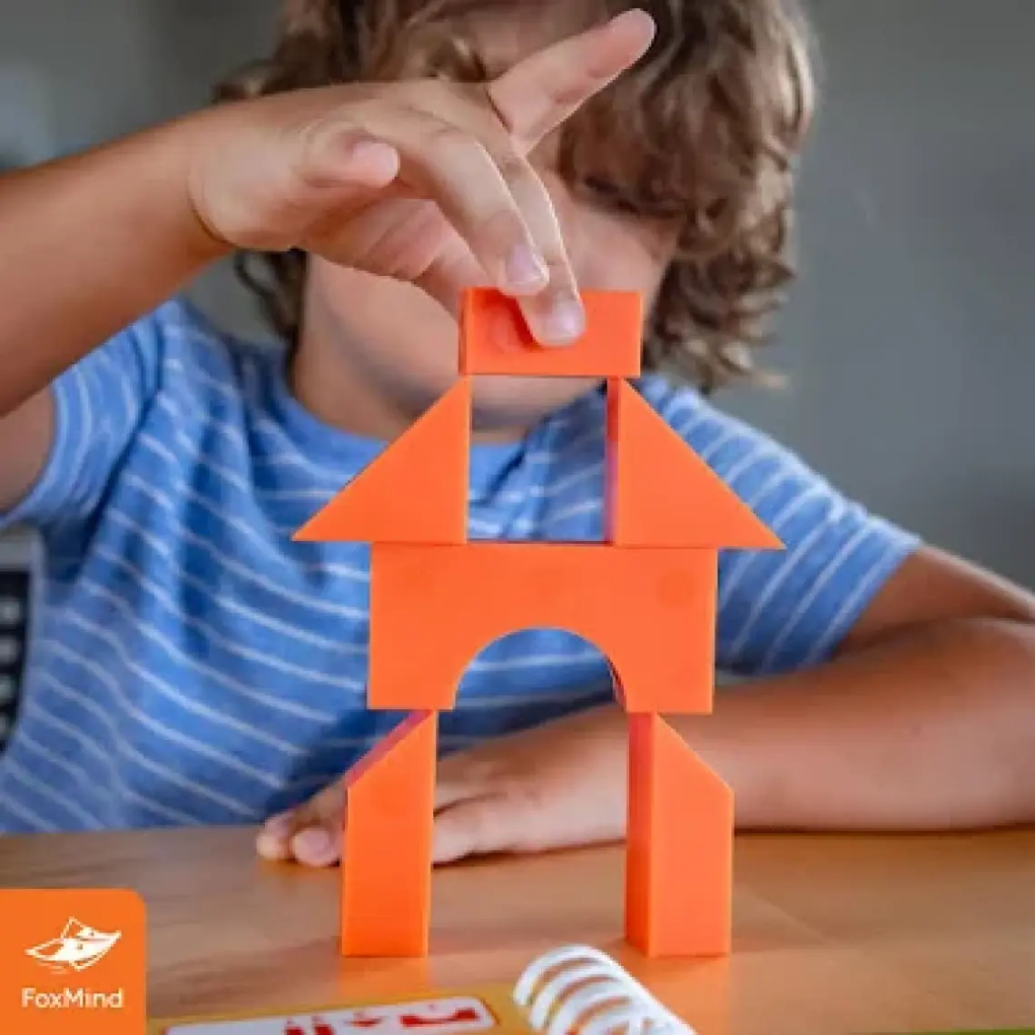 Pal Archıtecto Zeka Oyunu 7+