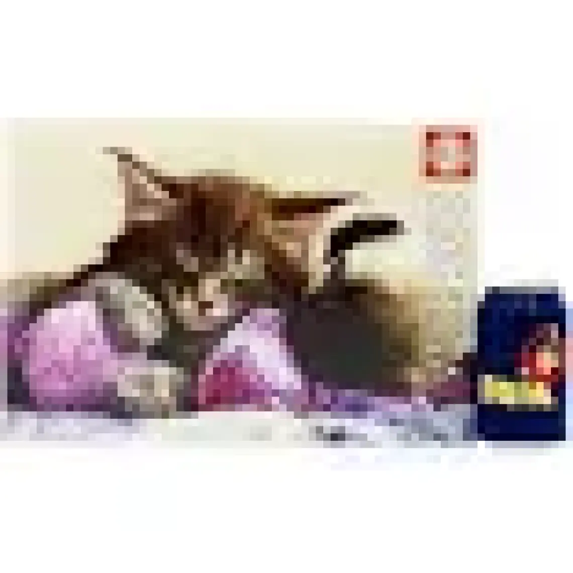 Educa Puzzle 500 Parça Rüya Arkadaşları 17644
