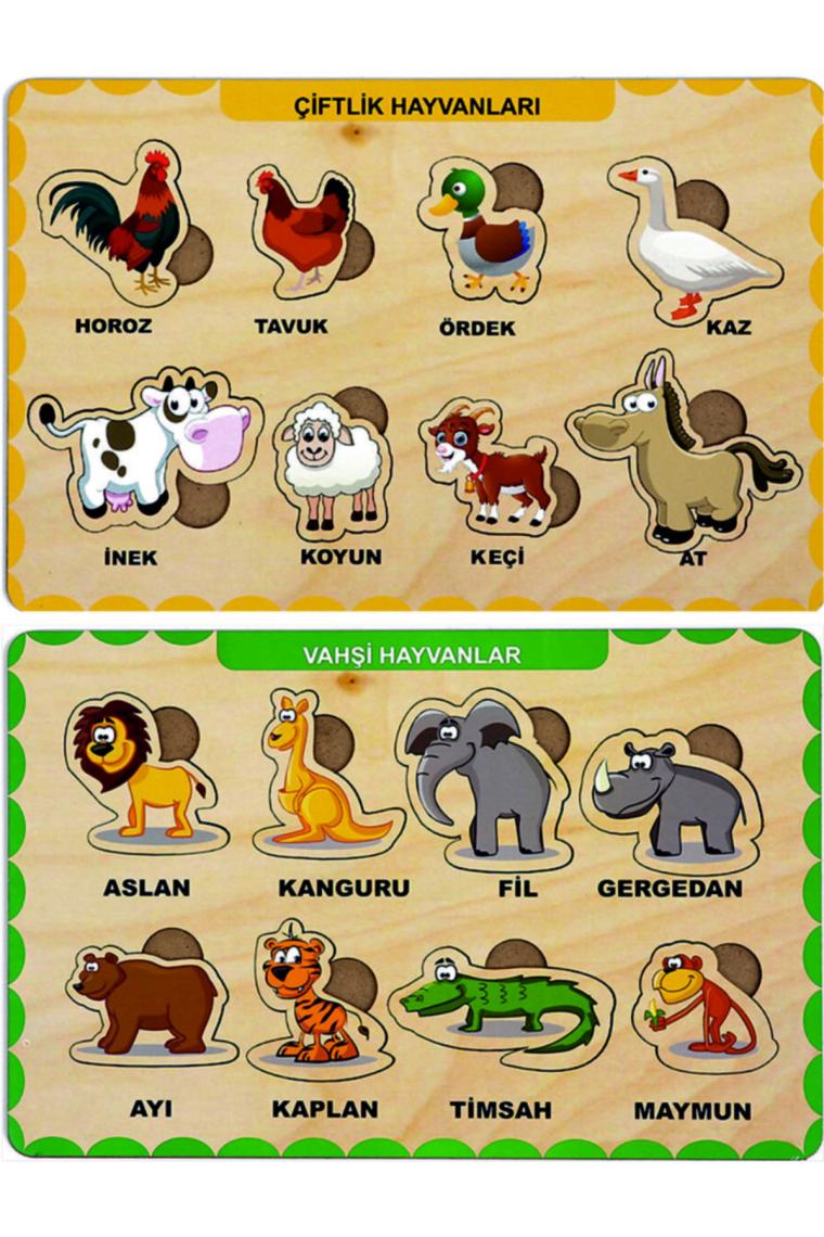 Maketçiniz Ahşap Bul Tak Eğitici 2 Adet Yapboz Puzzle Seti