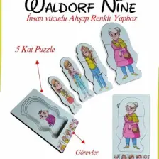 Ankebut Waldorf Nine Insan Vücudu Renkli Ahşap Yapboz Yaşam Döngüsü