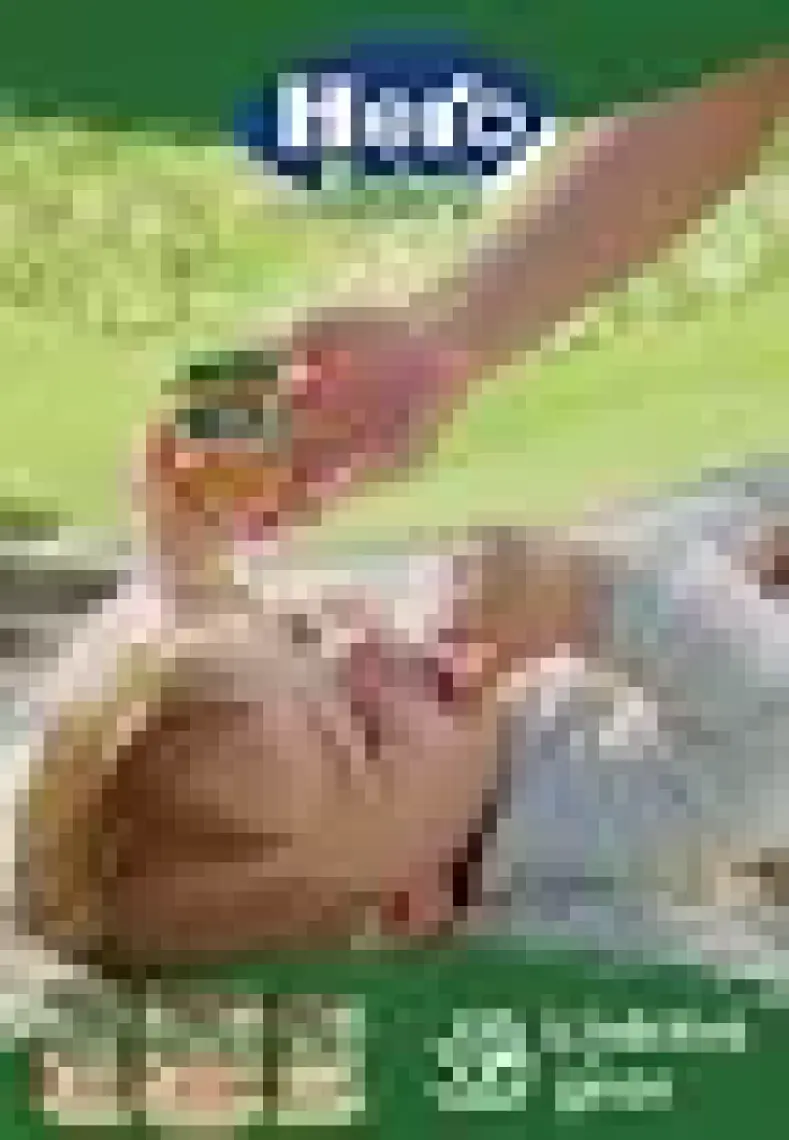 Hero Baby Muzlu Mandalinalı Armutlu Kavanoz Mama 125 gr
