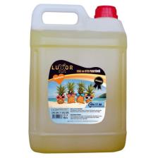 Luxor Kimya Tropikal Ev ve Oto Kokusu  5 Lt