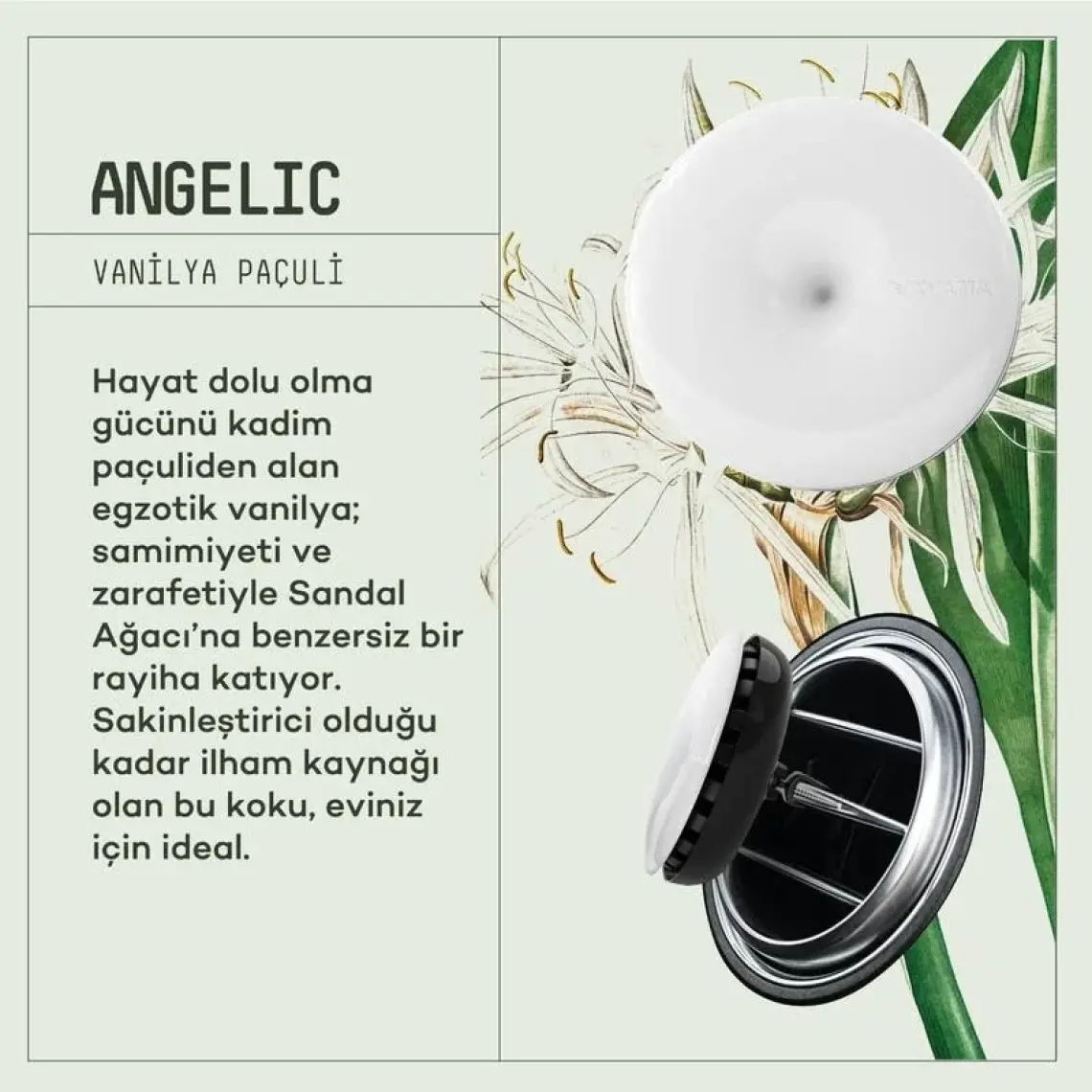 Araba Klima Kokusu, Spin Oto Kokusu, Profesyonel Otomobil Kokusu - Angelic & Hopeful Set