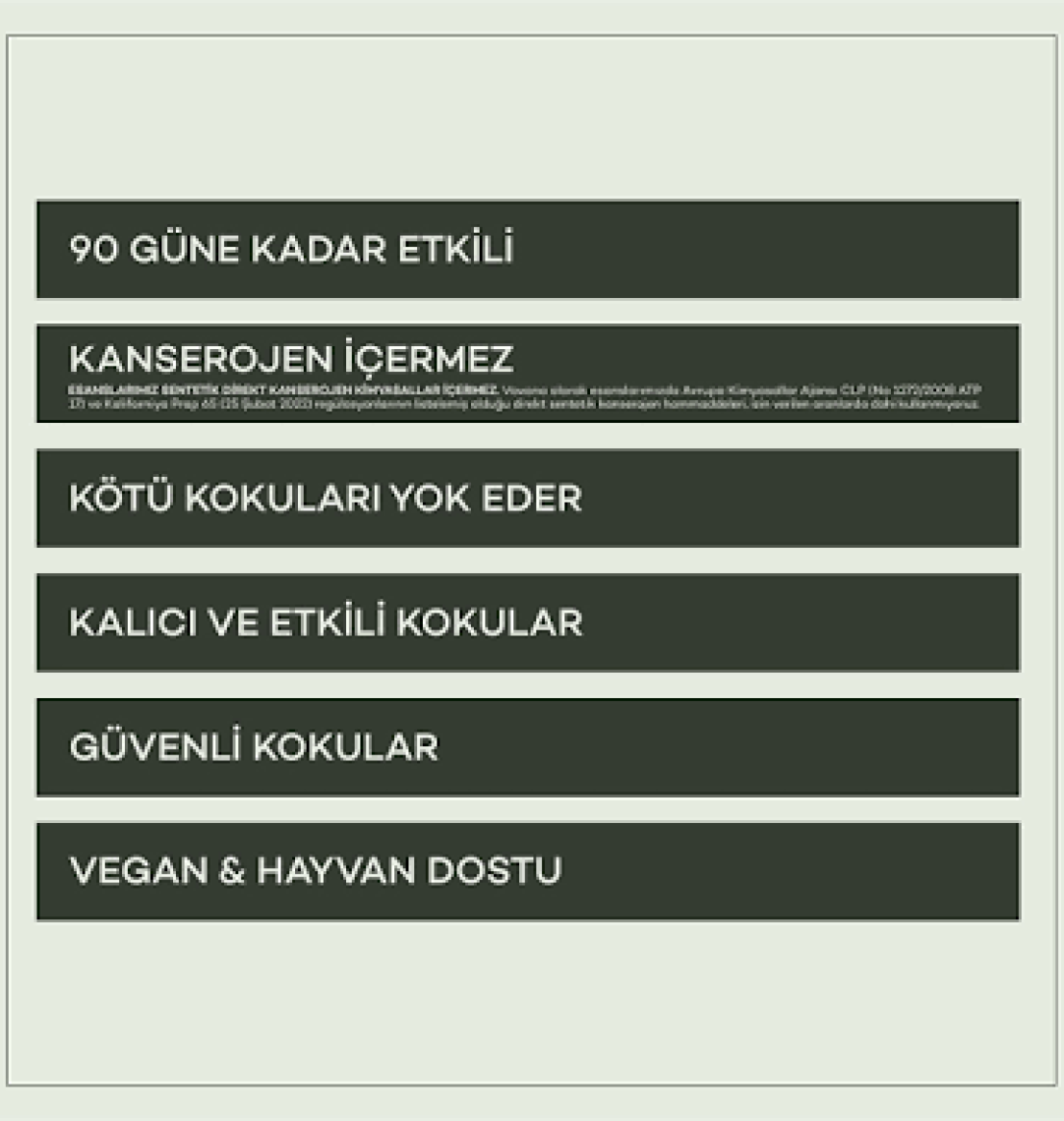 Araba Klima Kokusu, Spin Oto Kokusu, Profesyonel Otomobil Kokusu - Hopeful & Energetic Set