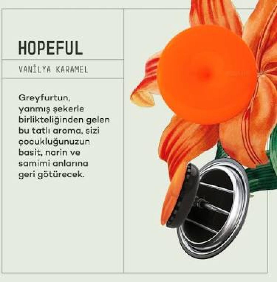 Araba Klima Kokusu, Spin Oto Kokusu, Profesyonel Otomobil Kokusu - Hopeful & Energetic Set