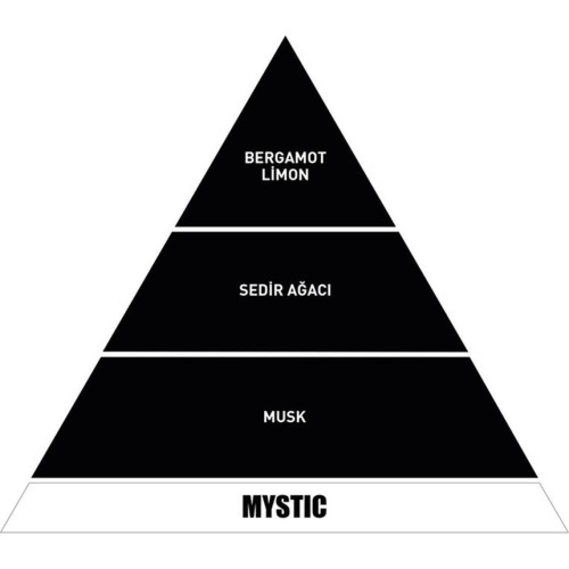 VAVANA Araba Klima Kokusu Spin Oto Kokusu - Mystic