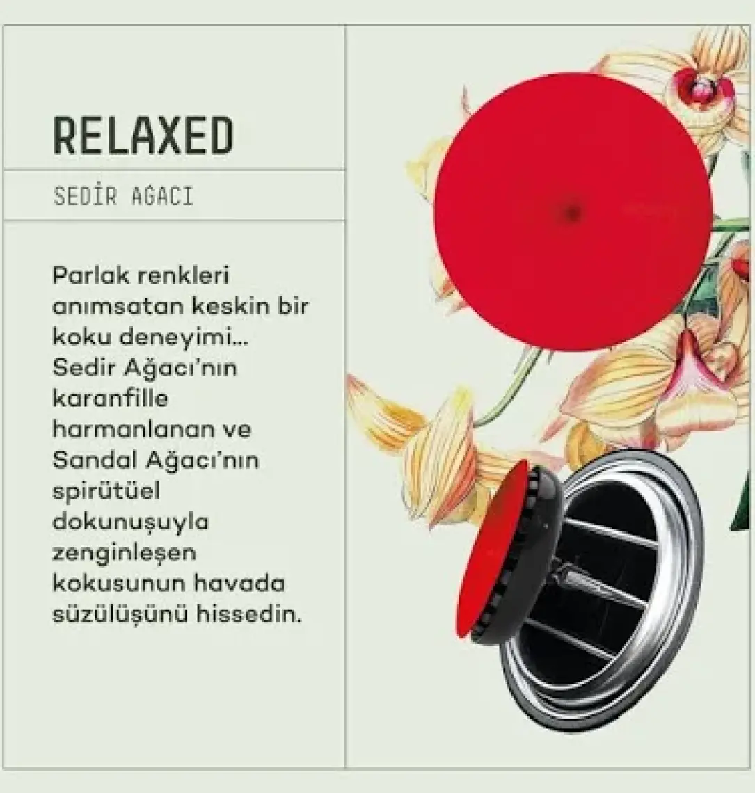 Araba Klima Kokusu, Spin Oto Kokusu, Profesyonel Otomobil Kokusu - Relaxed 2 Adet