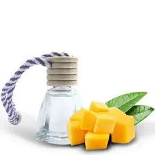 Wilma Secret 8 ml Askılı Oto Parfümü Mango