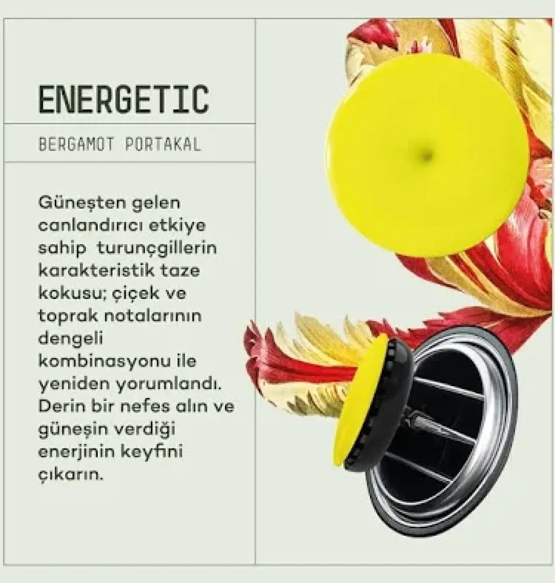 Araba Klima Kokusu, Spin Oto Kokusu, Profesyonel Otomobil Kokusu - Energetic 2 Adet