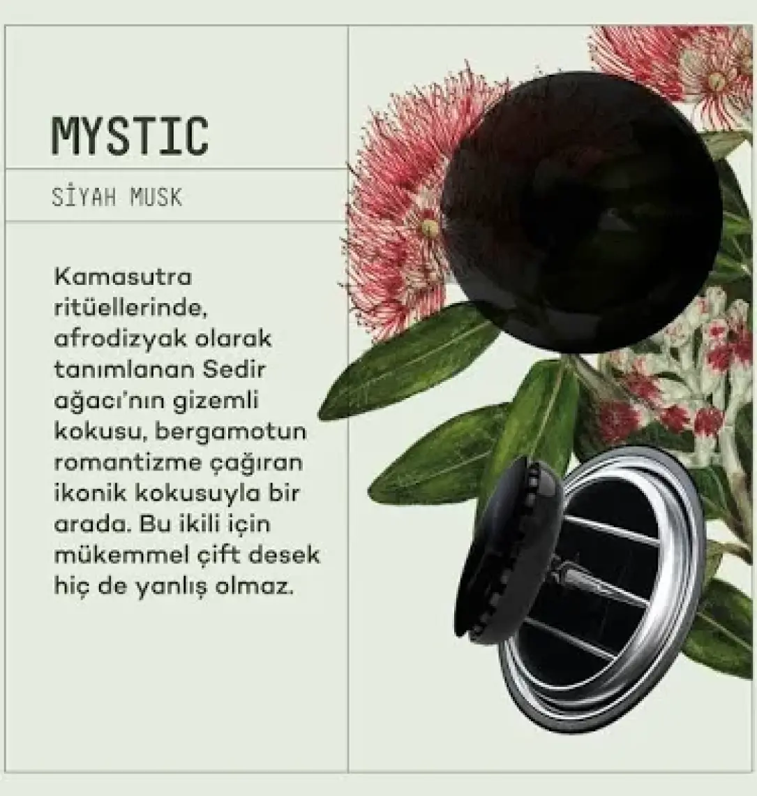 Araba Klima Kokusu, Spin Oto Kokusu, Profesyonel Otomobil Kokusu - Energetic & Mystic Set