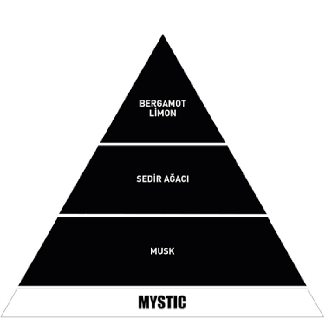 Araba Klima Kokusu, Spin Oto Kokusu, Profesyonel Otomobil Kokusu - Mystic 2 Adet