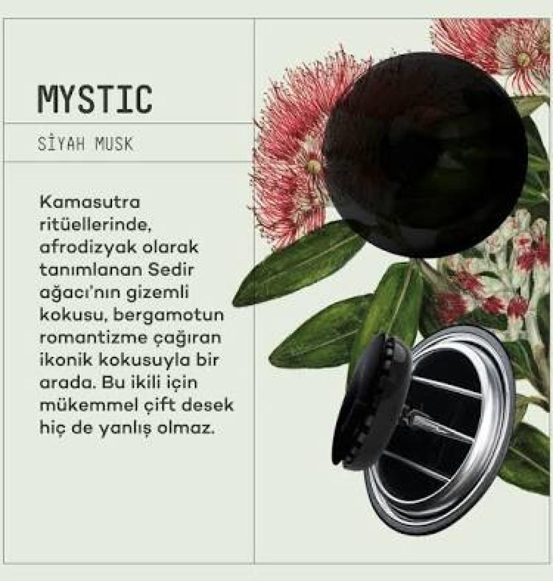 Araba Klima Kokusu, Spin Oto Kokusu, Profesyonel Otomobil Kokusu - Mystic 2 Adet