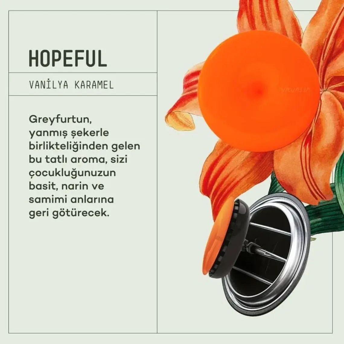 Araba Klima Kokusu, Spin Oto Kokusu, Profesyonel Otomobil Kokusu - Hopeful 2 Adet