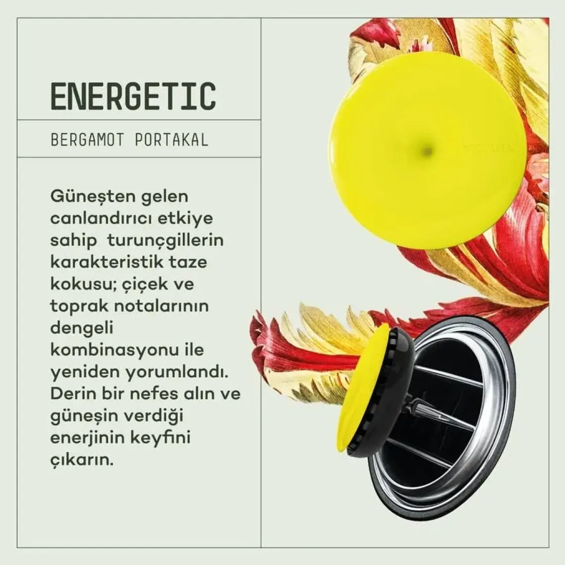Araba Klima Kokusu, Spin Oto Kokusu, Profesyonel Otomobil Kokusu - Energetic & Relaxed Set