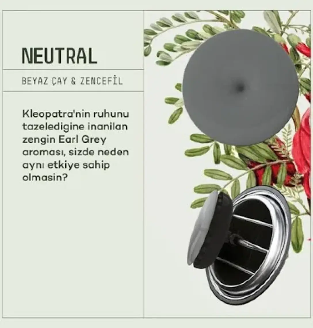 Araba Klima Kokusu, Spin Oto Kokusu, Profesyonel Otomobil Kokusu - Neutral 6 Adet