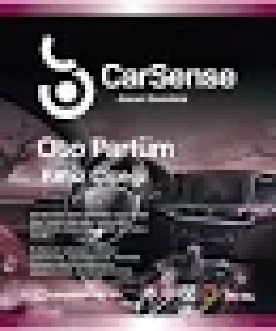 Carsense Oto Parfüm Kiraz Çiçeği - Sprey Araç Kokusu 200 ml