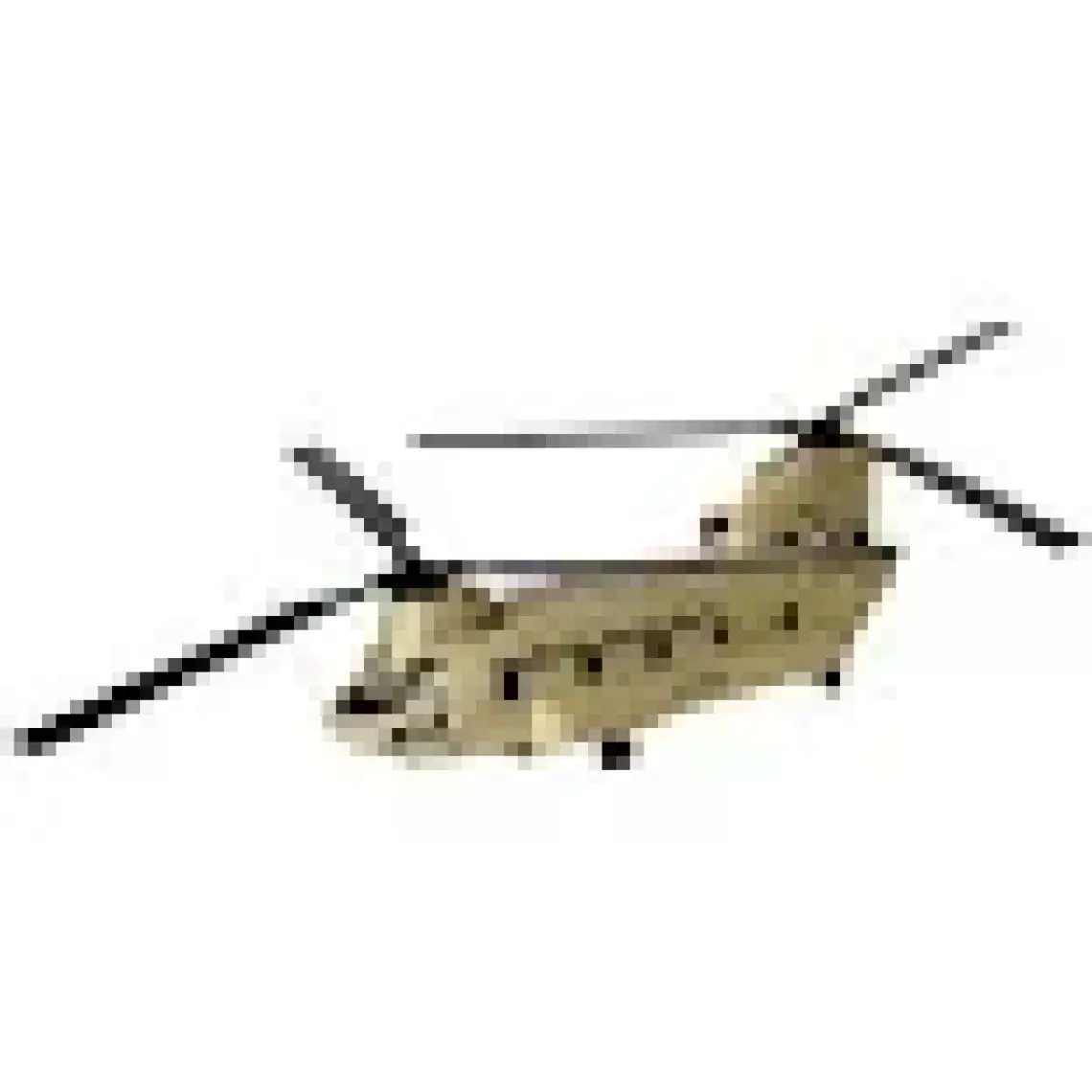 Revell Model Set Uçak CH-47D Chinook 63825