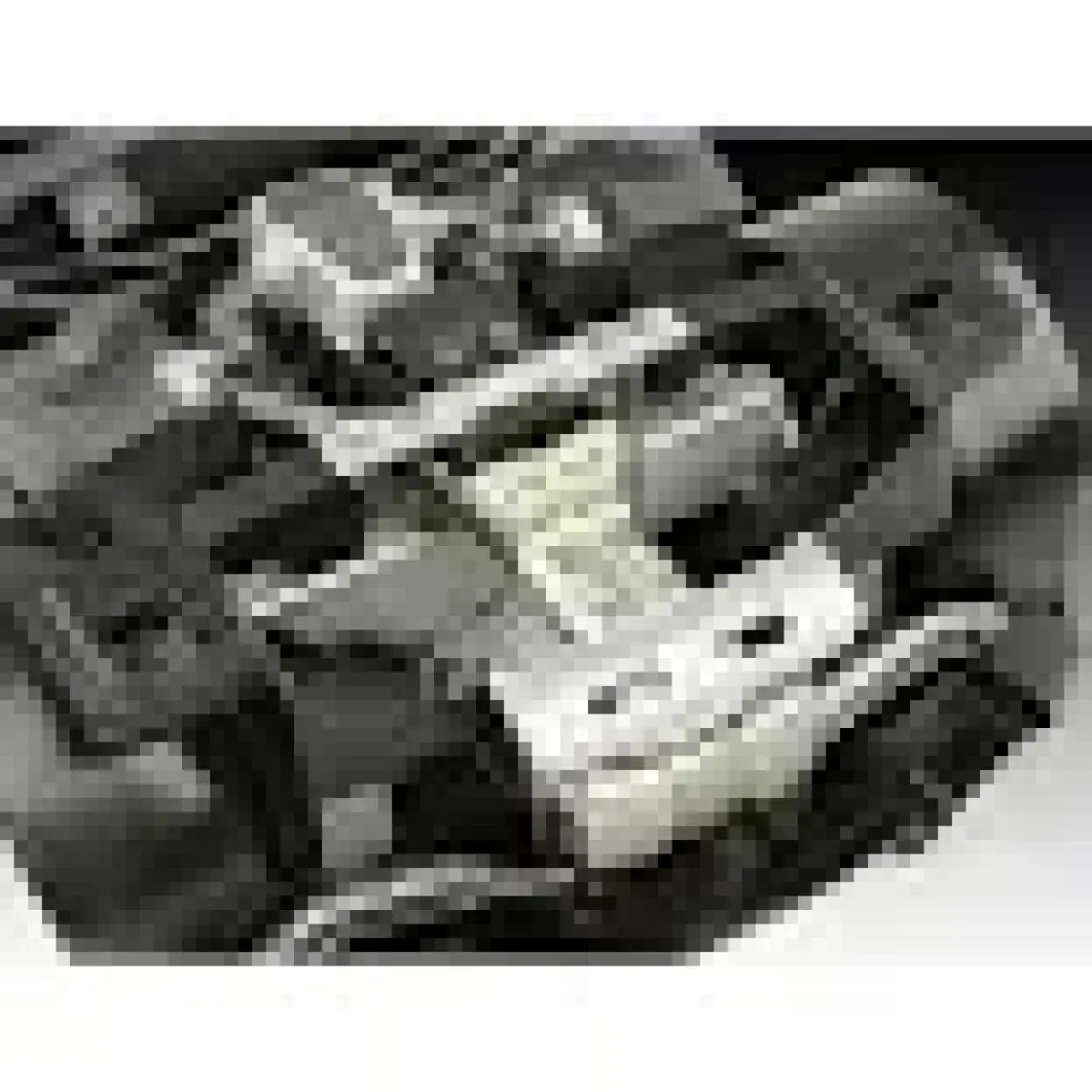 Revell Model Set Mclaren 67051