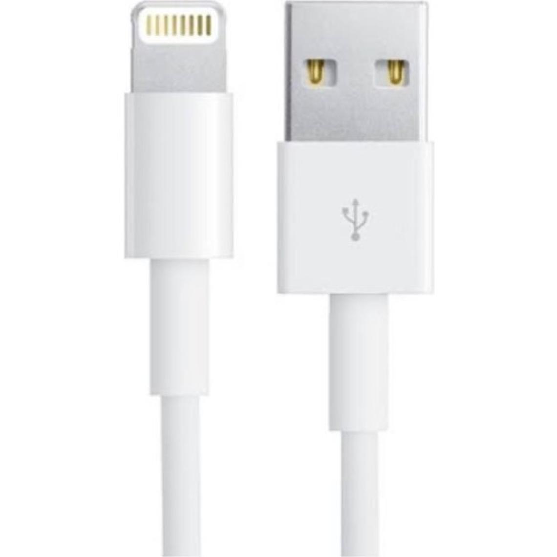 Ats Apple iPhone Uyumlu İpad İpod Lightning 2.4A Hızlı Şarj Kablosu ve Data Kablosu 1 mt