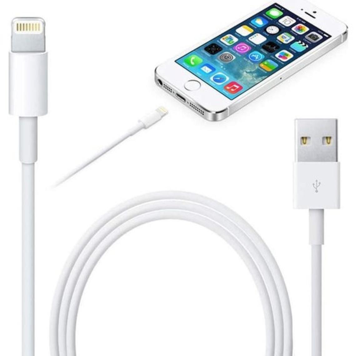 Ats Apple iPhone Uyumlu İpad İpod Lightning 2.4A Hızlı Şarj Kablosu ve Data Kablosu 1 mt