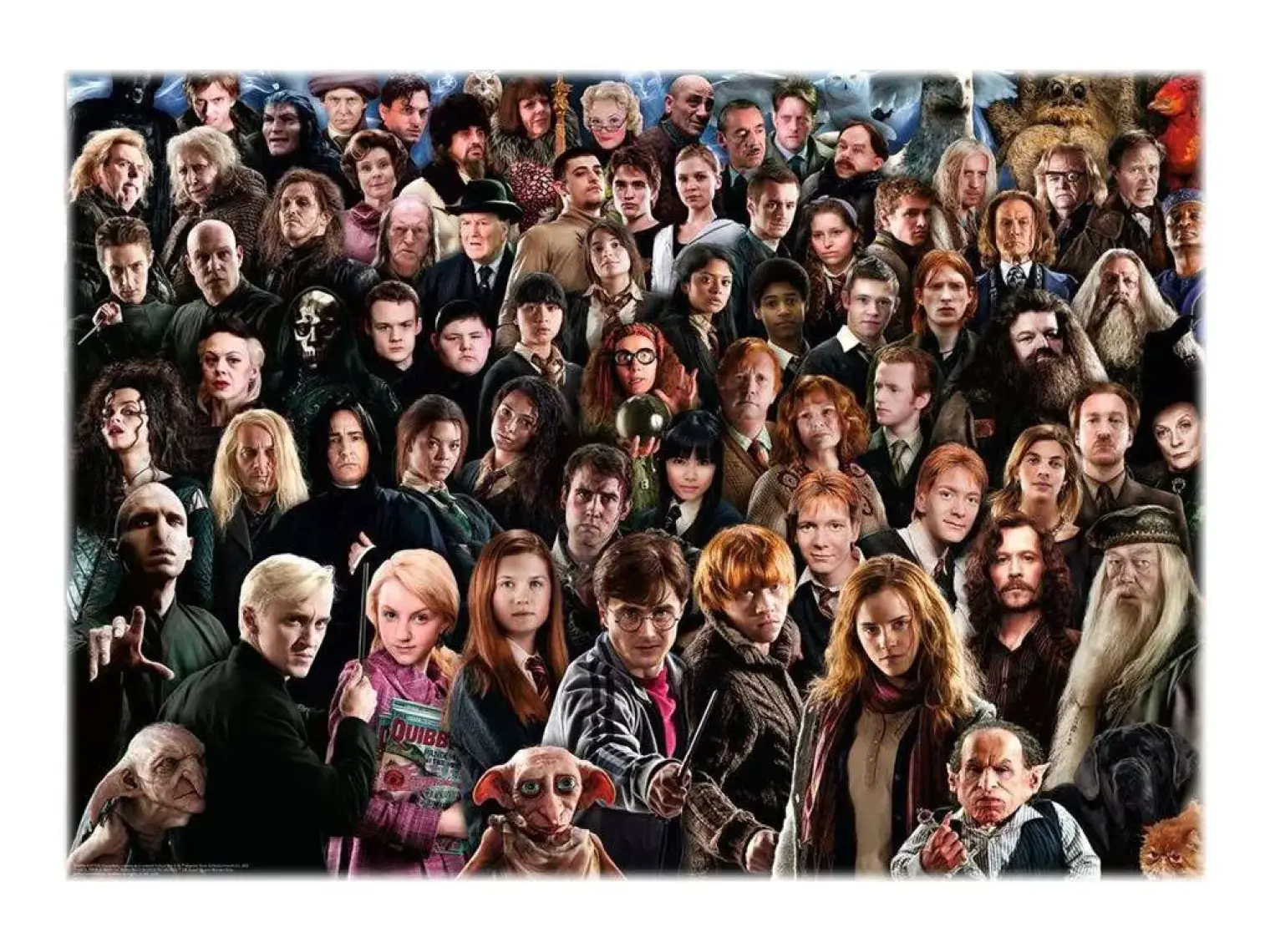 Ravensburger 149889 Ravensburger, Harry Potter Karakterleri, 1000 Parça Puzzle