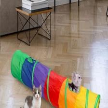 Tineke Kıvrımlı  Kedi Tüneli Katlanır Gökkuşağı Uzun  Kedi Köpek Oyun Tüneli