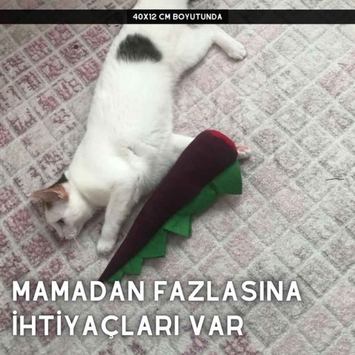 Pawdaz Matatabi - Dıno (40X12CM) Bol Sesli, Bol Kokulu Kedi Oyuncağı