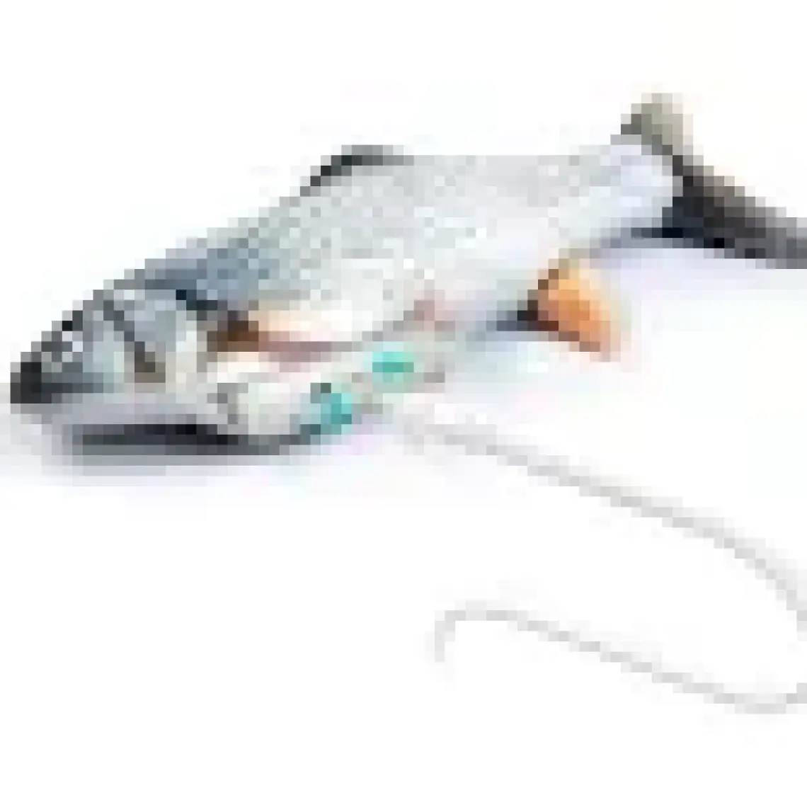 Hediye Filesi Kedi Oyuncağı Balık Şarjlı Hareket Eden Balık Oyuncak Büyük Boy Bez 30X13 cm