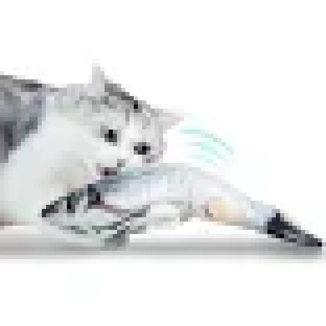 Hediye Filesi Kedi Oyuncağı Balık Şarjlı Hareket Eden Balık Oyuncak Büyük Boy Bez 30X13 cm