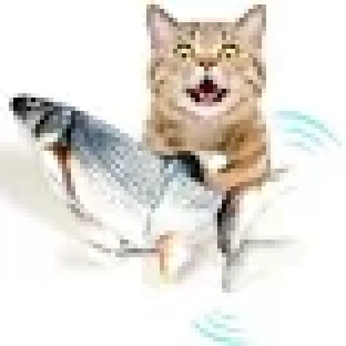 Hediye Filesi Kedi Oyuncağı Balık Şarjlı Hareket Eden Balık Oyuncak Büyük Boy Bez 30X13 cm