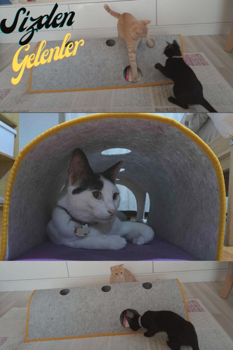 Cathide Kedi Oyun Ve Saklanma Tüneli 100 Cm Büyük Boy