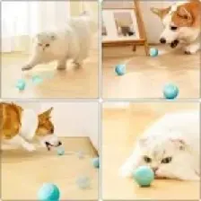 Yıldızhane Şarjlı Otomatik Hareketlenen Kedi Oyun Topu Interaktif 360 Derece Dönen Kedi Oyuncağı Eğitim Topu