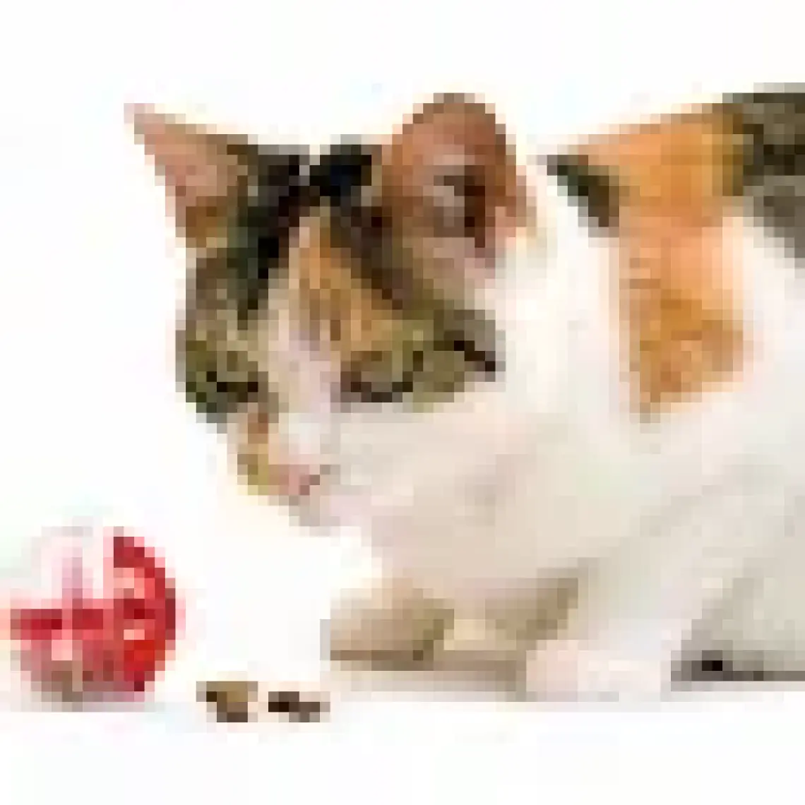 Karlie Kedi Oyuncağı Ödül Topu 5,5Cm