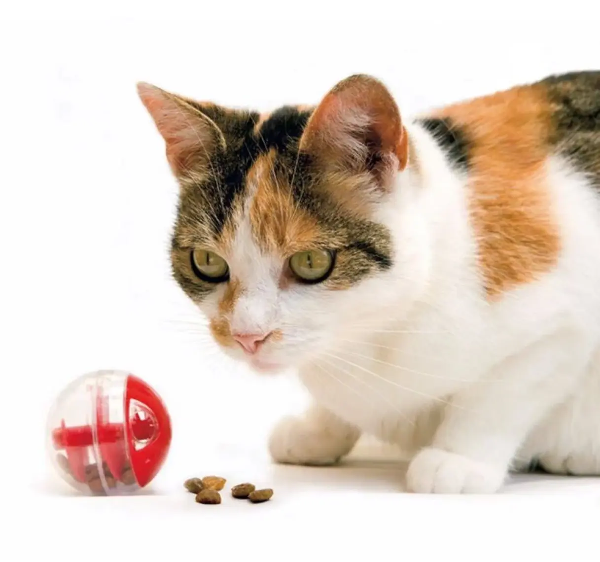 Karlie Kedi Oyuncağı Ödül Topu 5,5Cm
