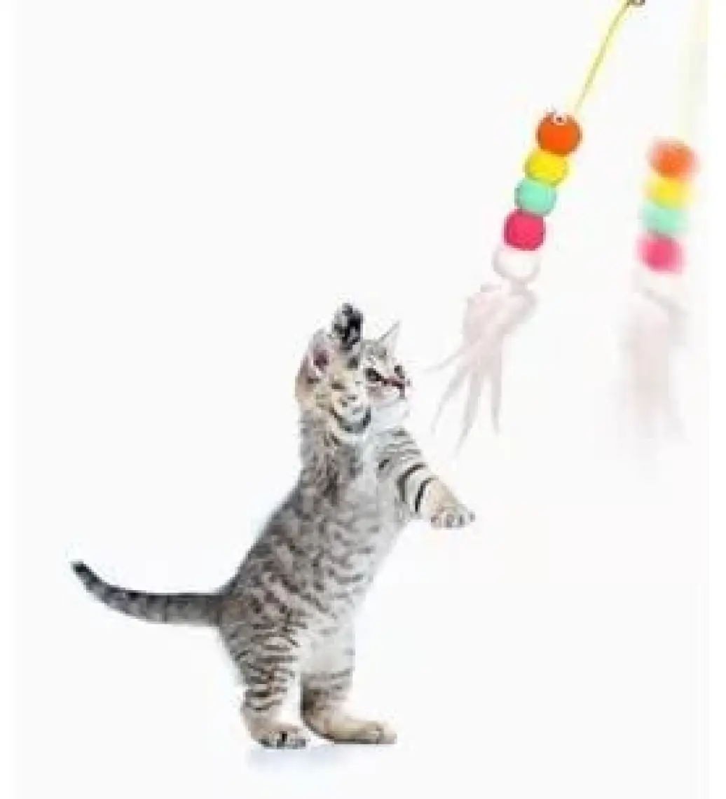Tineke Elastik Kendinden Yapışkanlı Renkli Kedi Oyun Oltası Kedi Oyuncağı Yapışkanlı Olta Eğitim Oyuncağı
