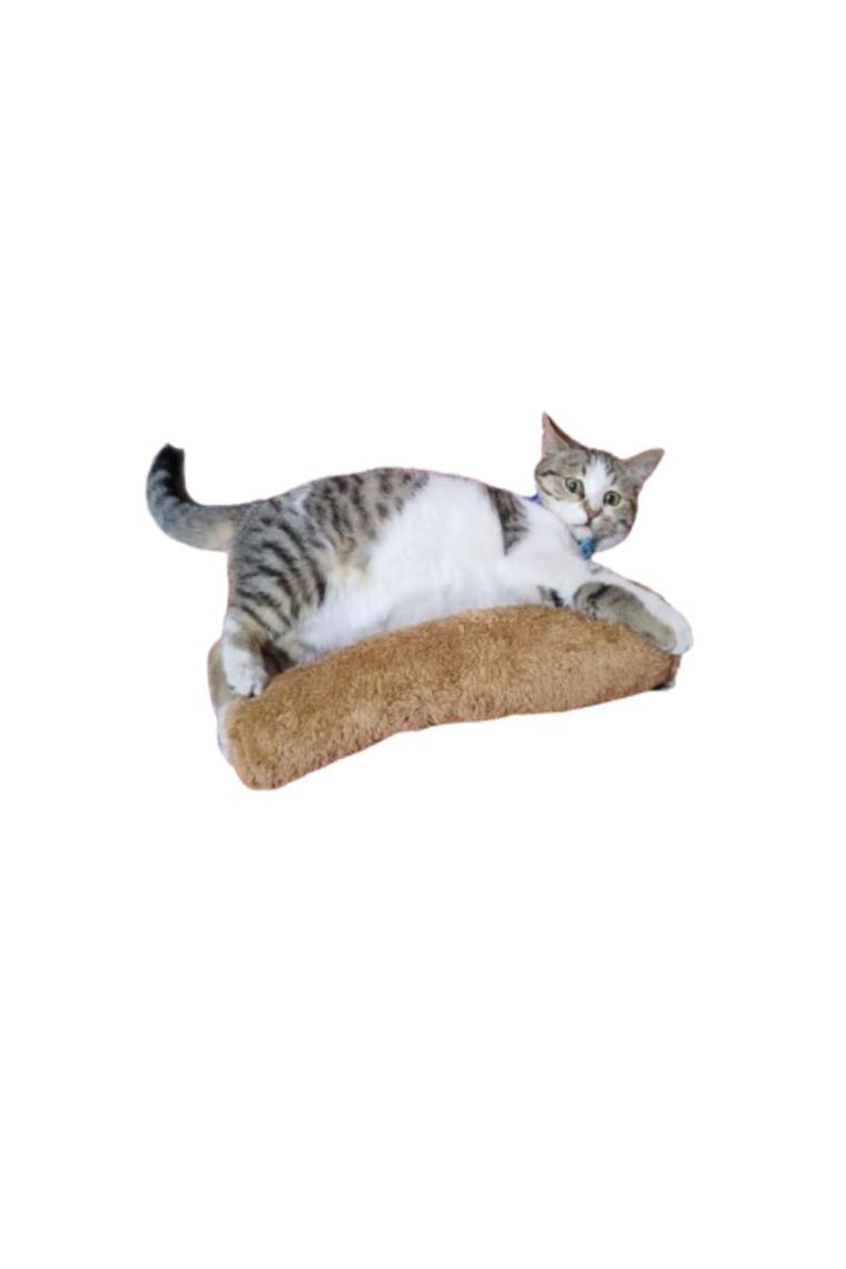 Tineke Kedi Oyuncağı Sarılma Yastığı Uyku Oyuncağı Kedi Otlu 30 cm Peluş ( 1 Adet